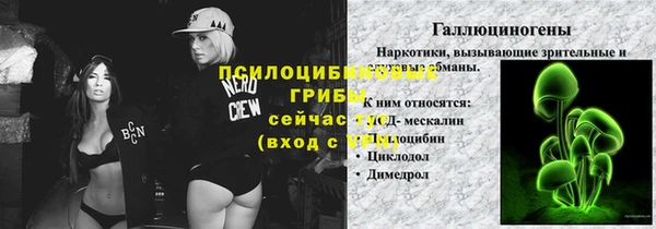 дурь Приозерск