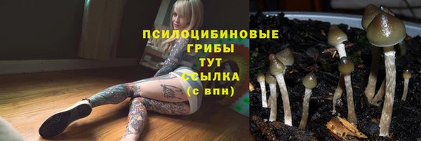 эйфоретик Волосово