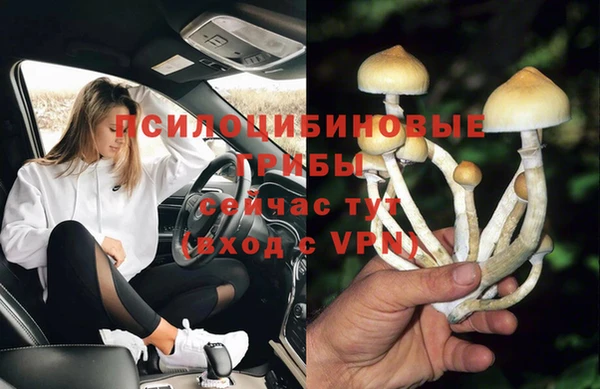 mdpv Пролетарск