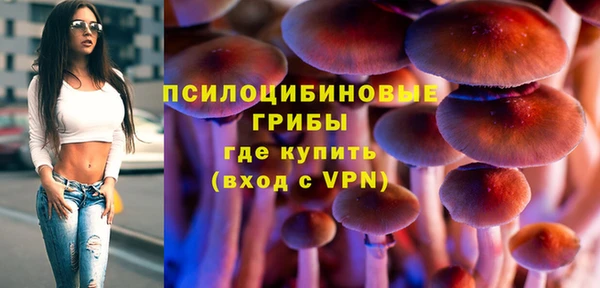 дурь Приозерск