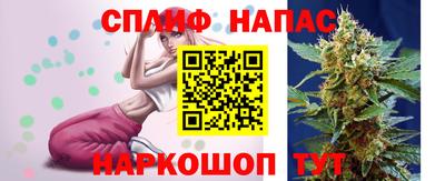 сатива Балахна