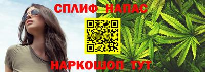 сатива Балахна