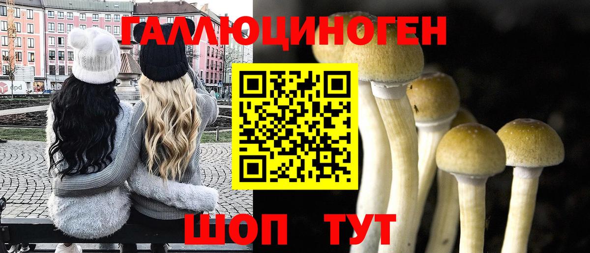 Галлюциногенные грибы GOLDEN TEACHER Железногорск