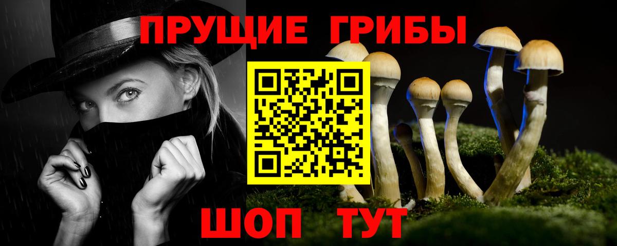 Псилоцибиновые грибы Cubensis  Вход с VPN  Железногорск 